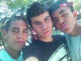 halim loic farid